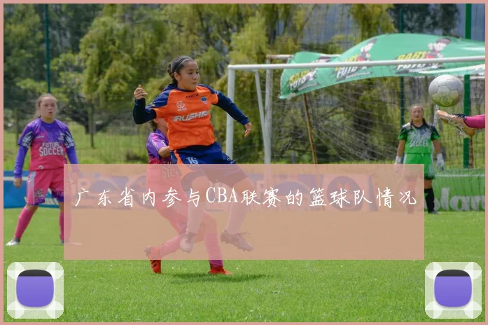 广东省内参与CBA联赛的篮球队情况