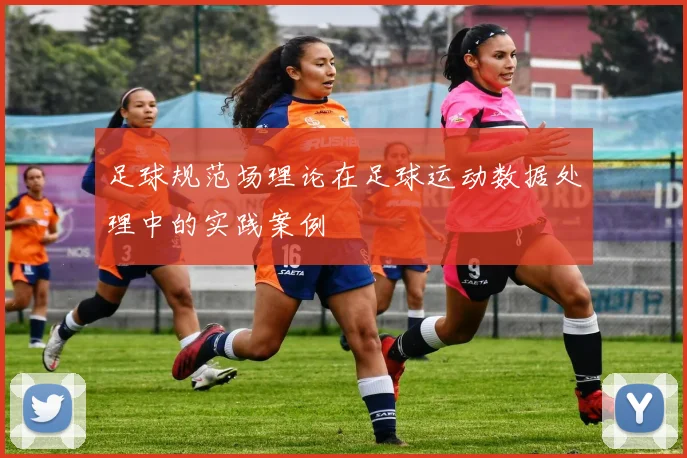 足球规范场理论在足球运动数据处理中的实践案例