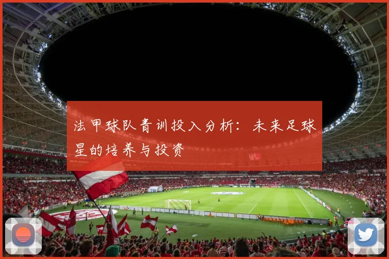 法甲球队青训投入分析：未来足球星的培养与投资