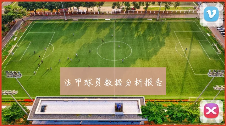 法甲球员数据分析报告