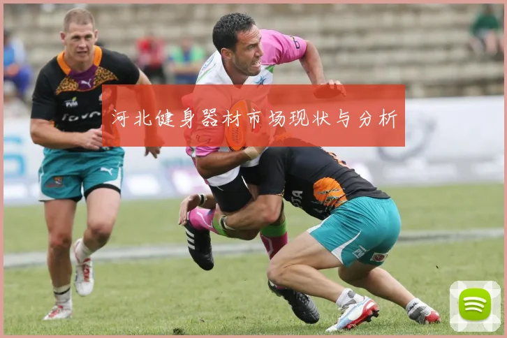 河北健身器材市场现状与分析