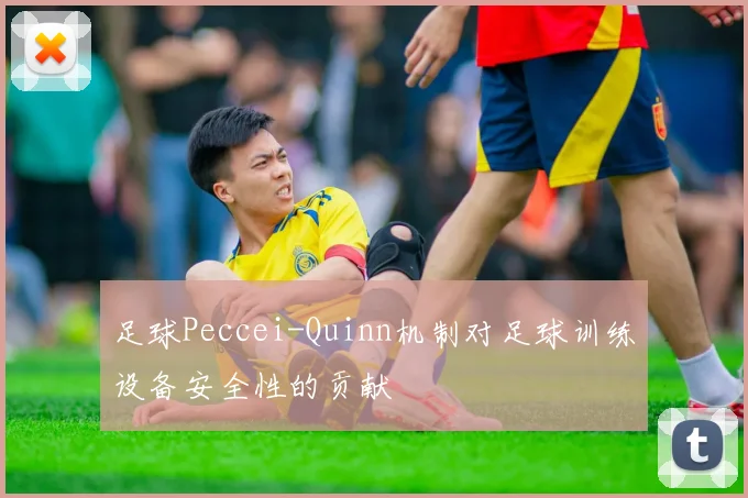 足球Peccei-Quinn机制对足球训练设备安全性的贡献