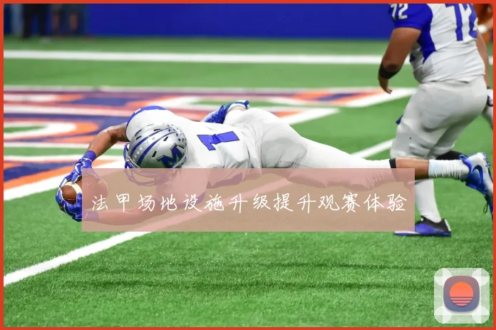 法甲场地设施升级提升观赛体验