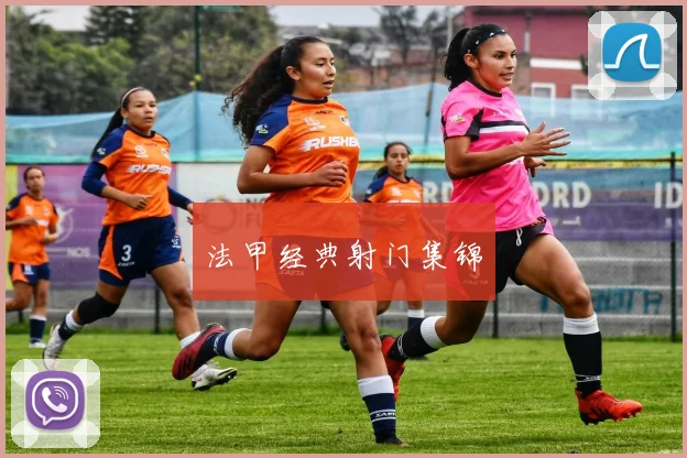 法甲经典射门集锦